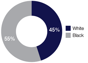 Race (%)